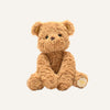 William The Plush Sitting Brown Teddy Bear 22 cm