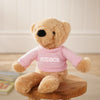 Personalised Hudson the Bear Softie with Embroidered Jumper
