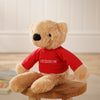 Personalised Hudson the Bear Softie with Embroidered Jumper