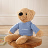 Personalised Hudson the Bear Softie with Embroidered Jumper