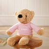 Personalised Hudson the Bear Softie with Embroidered Jumper